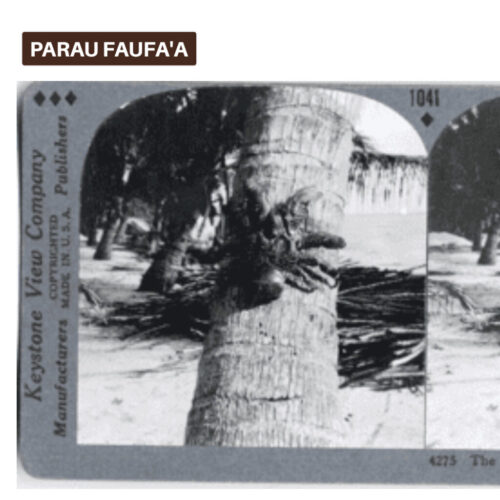 Image stéréoscopique –  Le crabe voleur géant, Tahaa, Iles de la Société