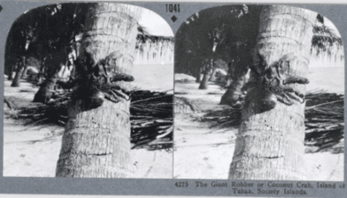 Image stéréoscopique