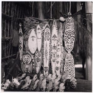 Photographie (noir et blanc) : un autel dans une maison allongée contenant 10 boucliers de bois peints et des rangées de crânes de cochons sauvages (?), un sac de fibres tressées et un crâne de singe (?) au-dessus des boucliers. Epreuve à la gélatine d’argent. Oc,B23.5, AN343697001© The Trustees of the British Museum