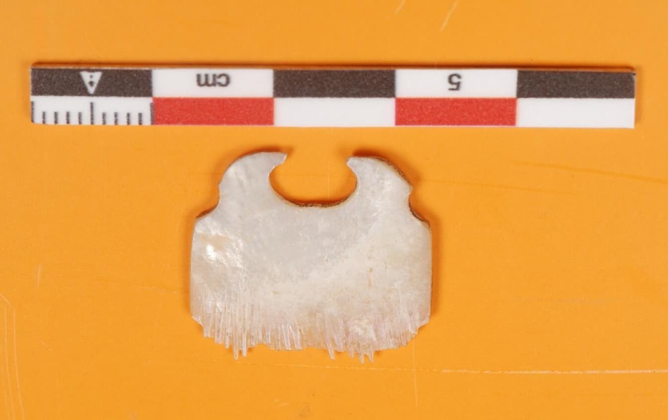 Le tatouage à travers les peignes à tatouer