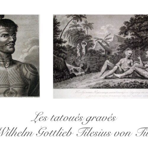 Les tatoués gravés  de Wilhelm Gottlieb Tilesius von Tilenau