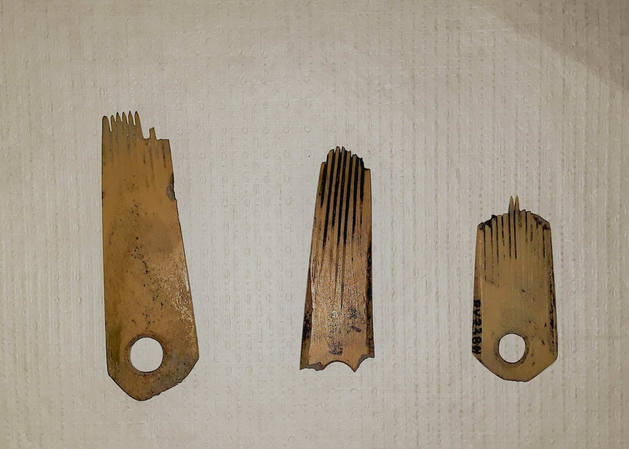 Le tatouage à travers les peignes à tatouer