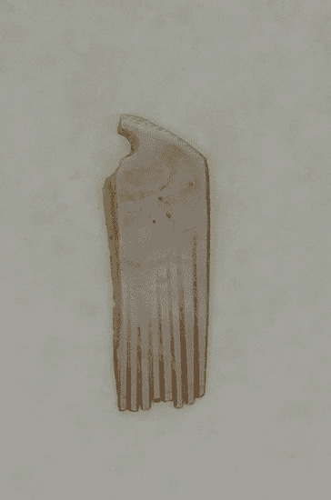 Le tatouage à travers les peignes à tatouer