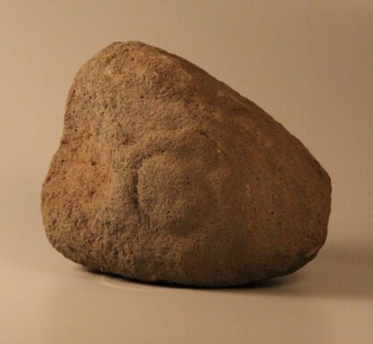 Puna mahimahi, originaire de Mataiea ©MTI