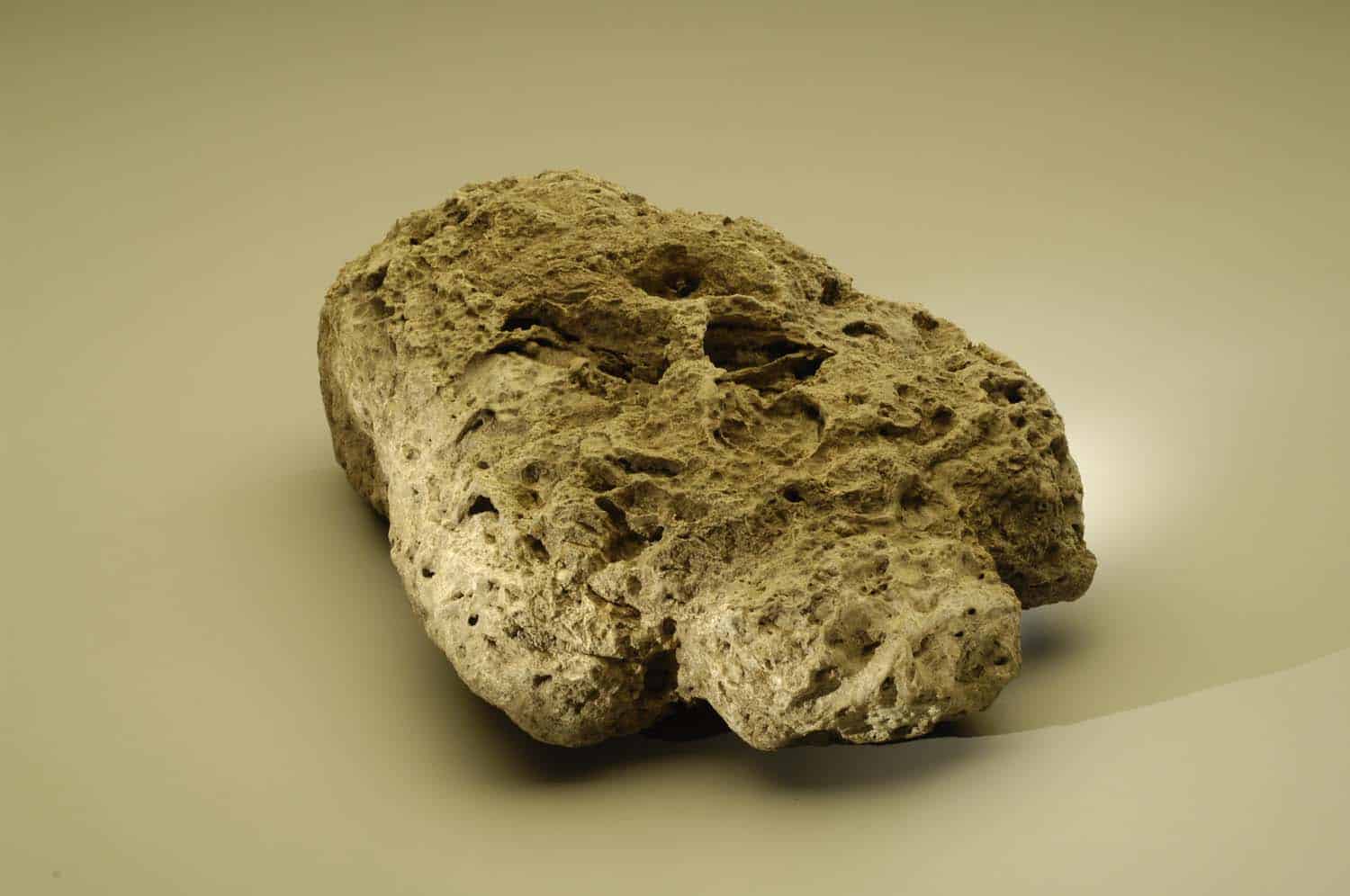 Puna honu de Maupiti