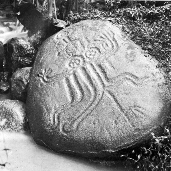 pétro_tipaerui_in_situ_emory